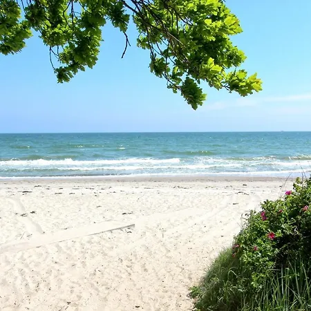 Strandnahe Mit Balkon, Gratis Nutzung Vom Ahoi Erlebnisbad Und Sauna In Sellin - Rex Rugia 14-8 * Lobbe