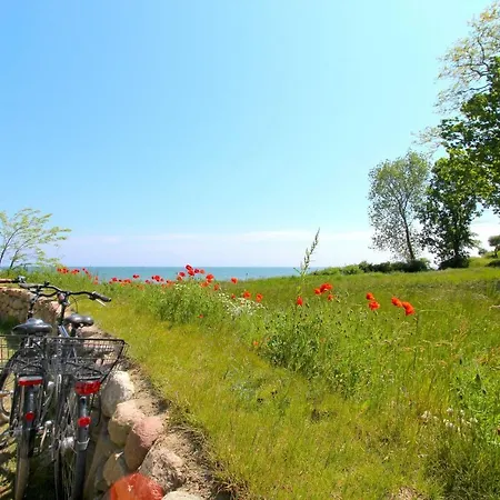 Strandnahe Mit Balkon, Gratis Nutzung Vom Ahoi Erlebnisbad Und Sauna In Sellin - Rex Rugia 14-8 *